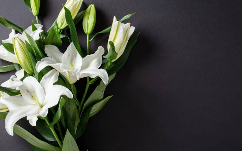 Elegant,Bouquet,Of,White,Lilies,With,Green,Leaves,And,Buds